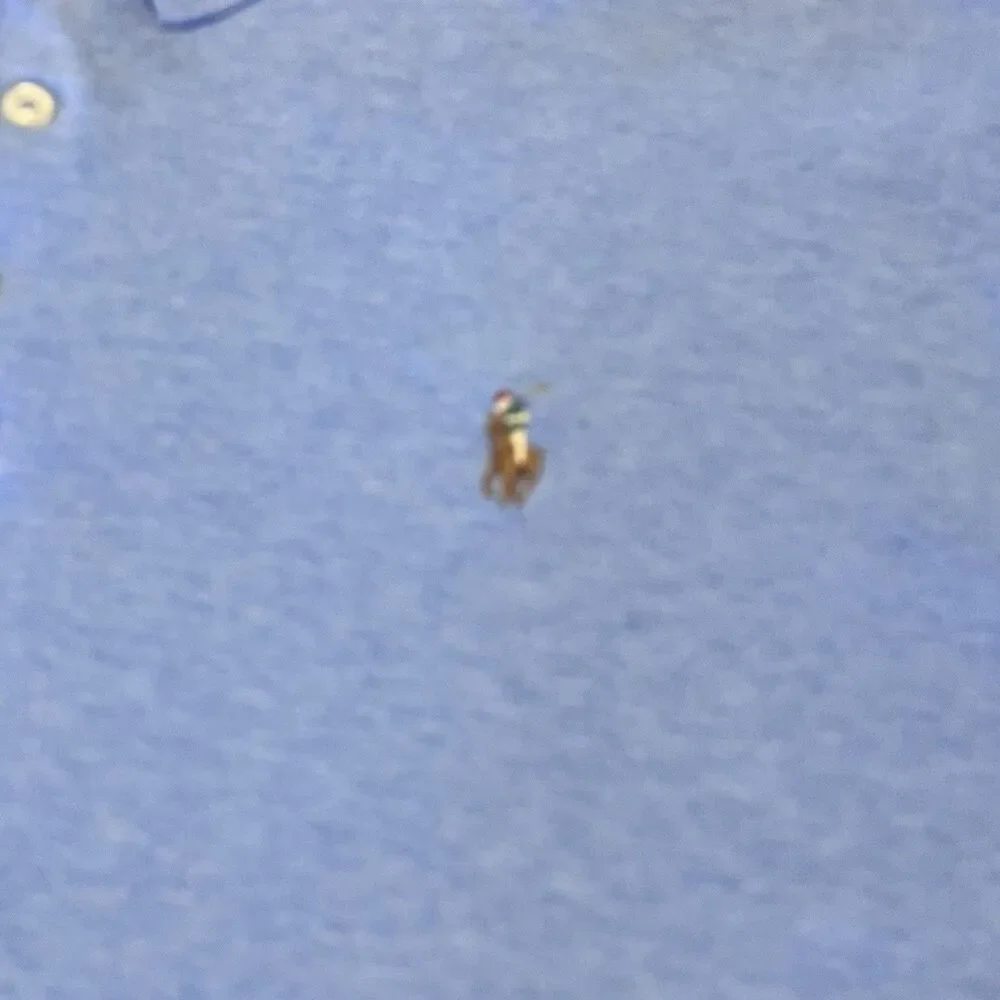 Polo Ralph Lauren Polo Shirt Mens 2XL Blue Short Sleeve Flesh Pony Classic Fit - Picture 2 of 6